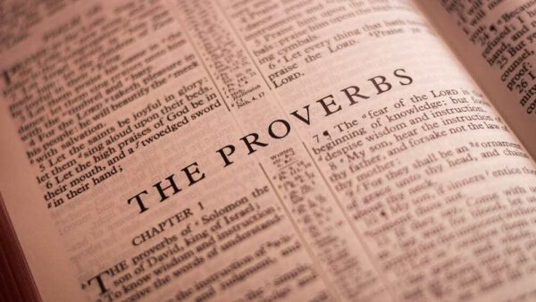 proverbs 8