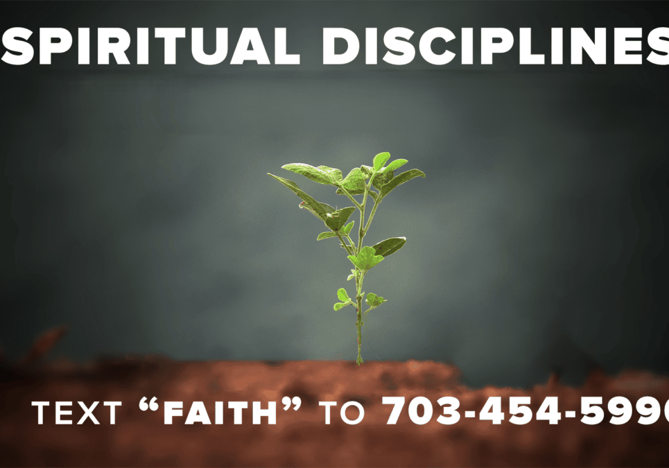 Spiritual-Disciplines-Text-Group
